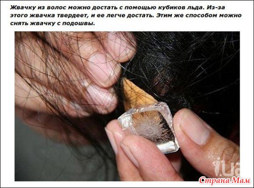 Простые хитрости, делающие нашу жизнь проще