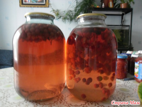 Компот из разных ягод: клубника, черноплодная рябина, малина, брусника, голубика и т. д.!!!