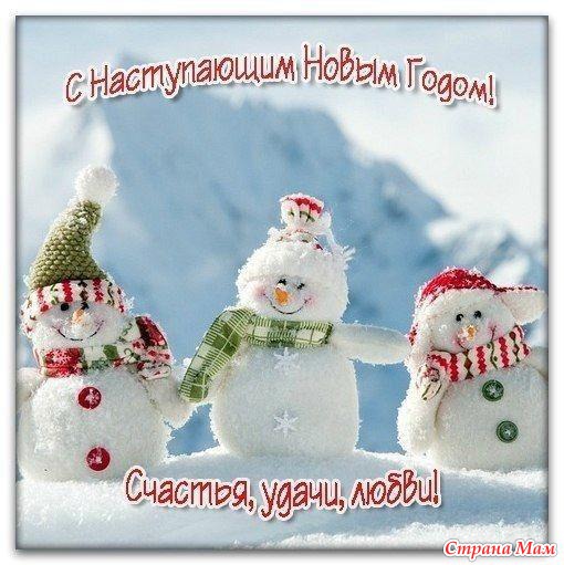 Итоги голосования за лучшее новогоднее шампанское.
