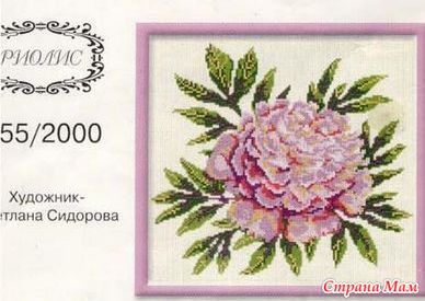 255