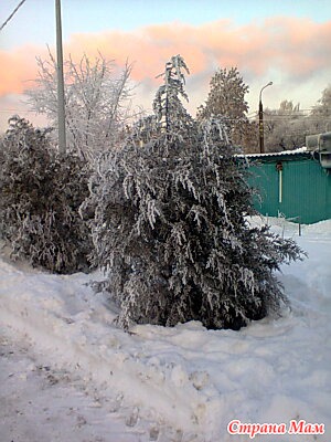 28.12.2013