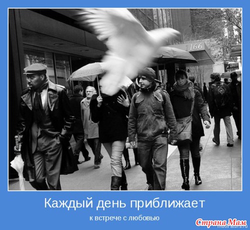 С каким мужчиной ты станешь счастливой? (тест)