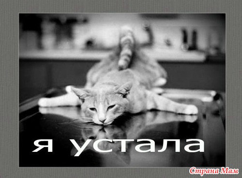 Идеальный день / реальный день
