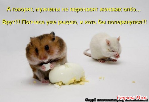 Больно, обидно, тяжело... Как пережить обиду?
