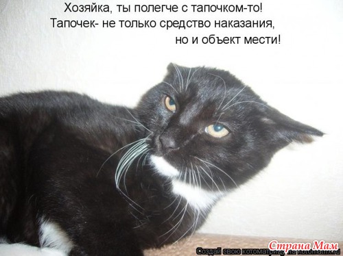 Больно, обидно, тяжело... Как пережить обиду?