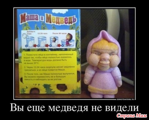 Цитаты и фото приколы. Просто поржать