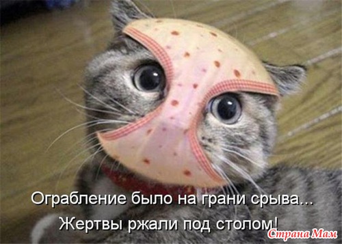 Цитаты и фото приколы. Просто поржать