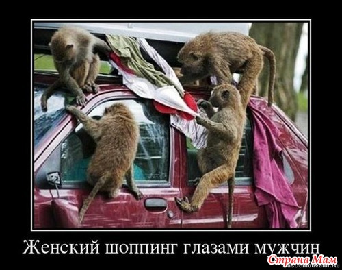 Цитаты и фото приколы. Просто поржать