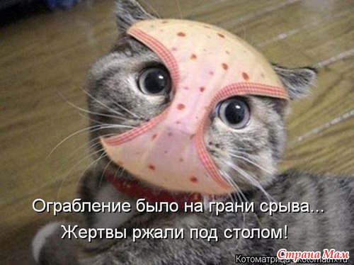 Анекдоты