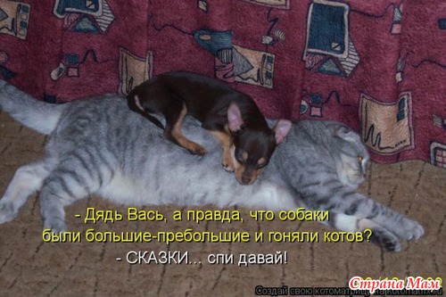 Анекдоты