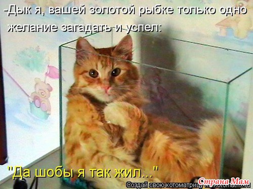 Анекдоты