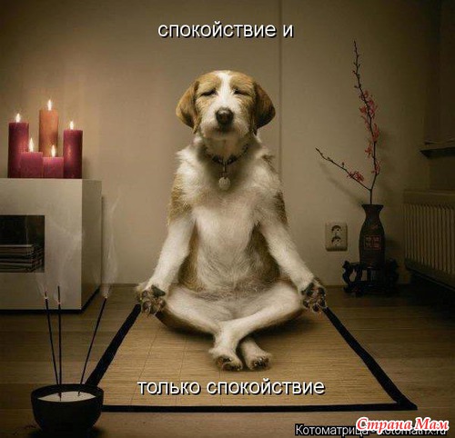 Анекдоты