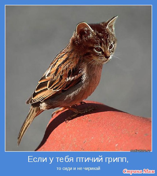Анекдоты
