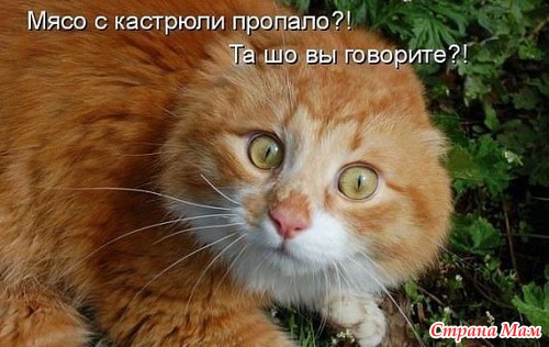 Анекдоты