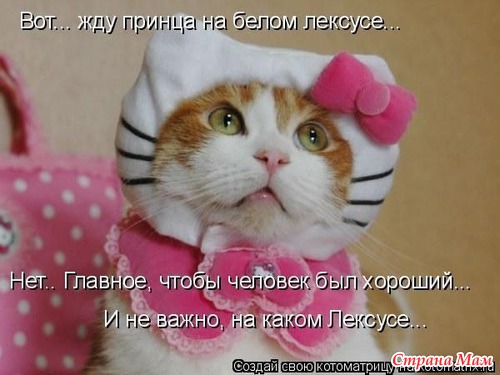 Цитаты+котоматрица 6