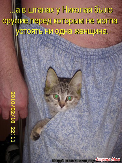 Цитаты+котоматрица 6