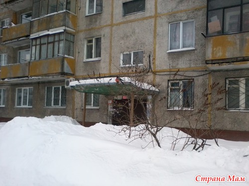 Прогулка с сюрпризом