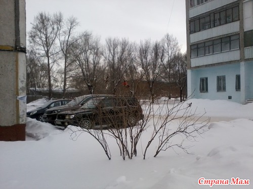 Прогулка с сюрпризом