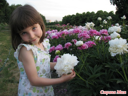 Акварель