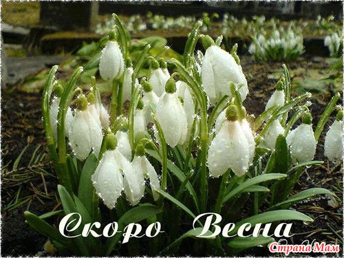 А скоро Март.