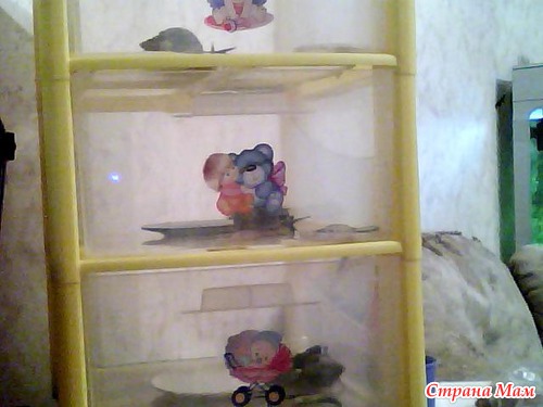 МОИ ЖИВОТНЫЕ