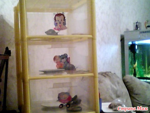 МОИ ЖИВОТНЫЕ