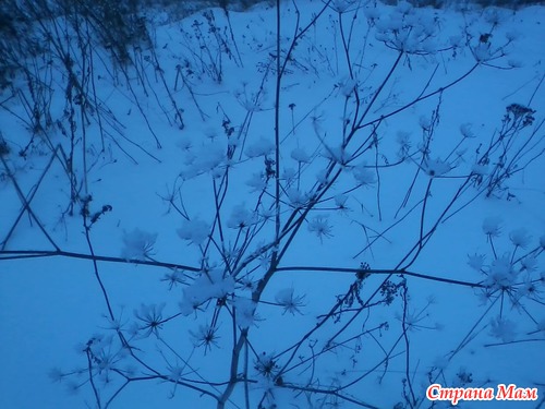 Снежинки из сухой травы