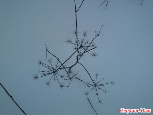 Снежинки из сухой травы