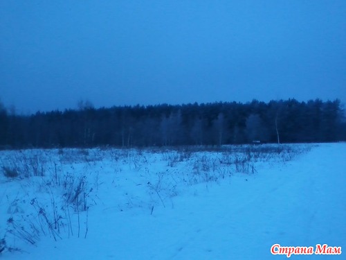 Снежинки из сухой травы