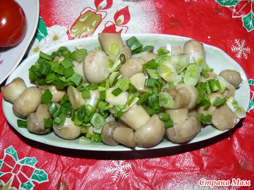Маринованные грибочки