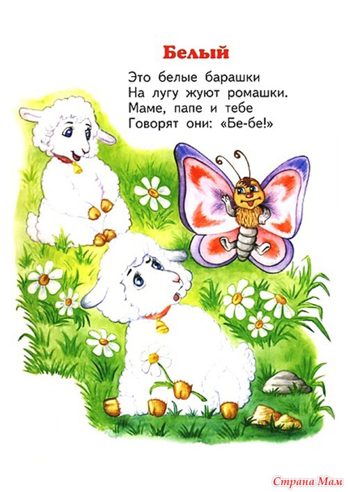 Пособие для изучения цветов