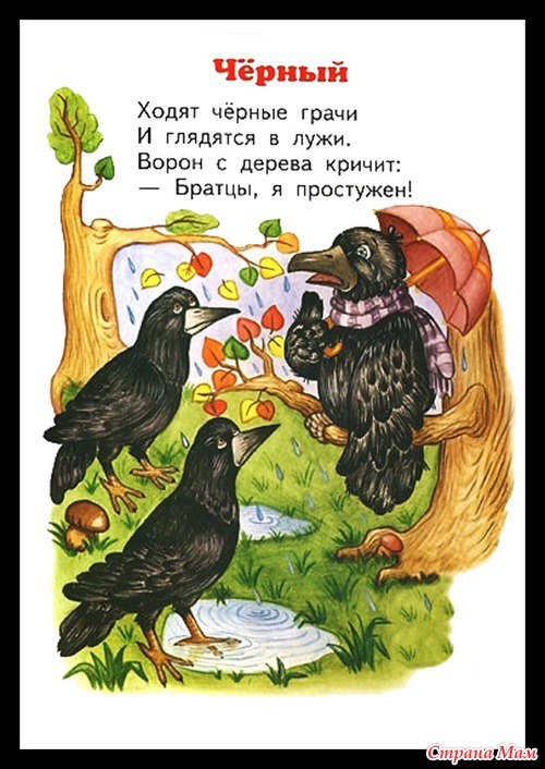 Пособие для изучения цветов