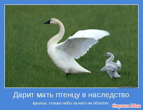 Позитивных мотиваторов желаете