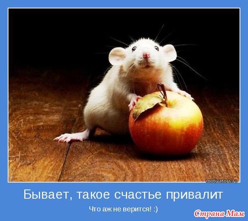 Позитивных мотиваторов желаете