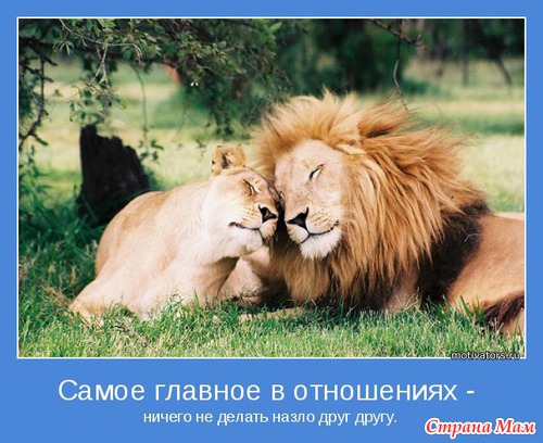 Позитивных мотиваторов желаете