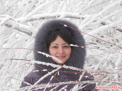 Зимние каникулы - 2013