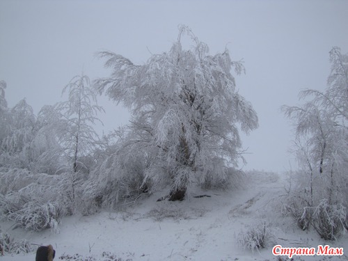 Зимние каникулы - 2013