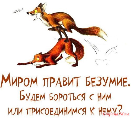 Немного юмора