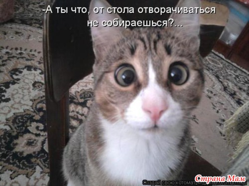 И смех и грех