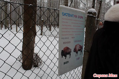 Приокско терраский заповедник
