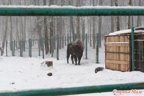 Приокско терраский заповедник