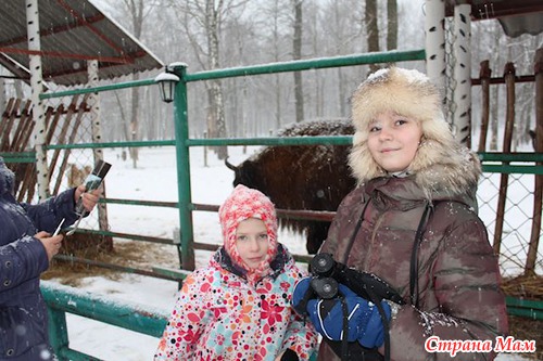 Приокско терраский заповедник