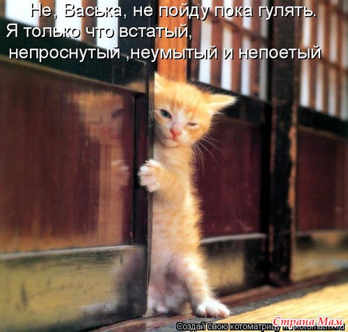 И смех и грех -2