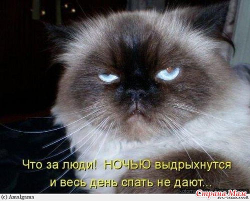 И смех и грех -2