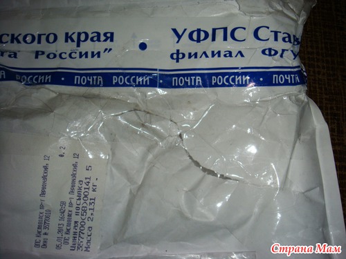 Отчет по Witerra