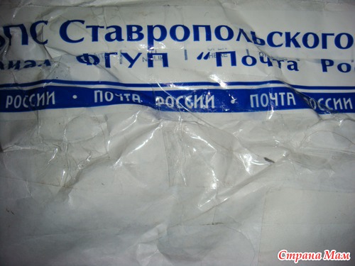 Отчет по Witerra