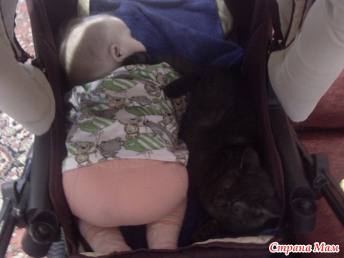 Опять про котэ)))