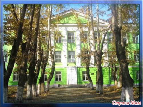 Фото Школ Курган