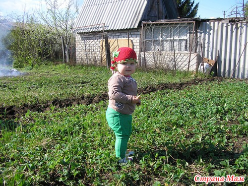 Сладкая клубничка