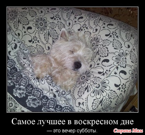 Как хорошо, что в доме радость!